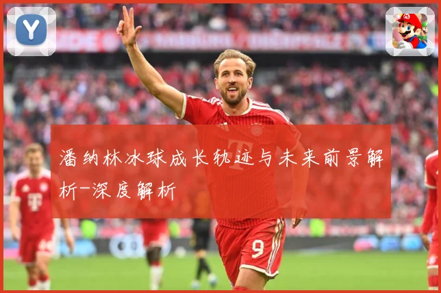 潘纳林冰球成长轨迹与未来前景解析-深度解析