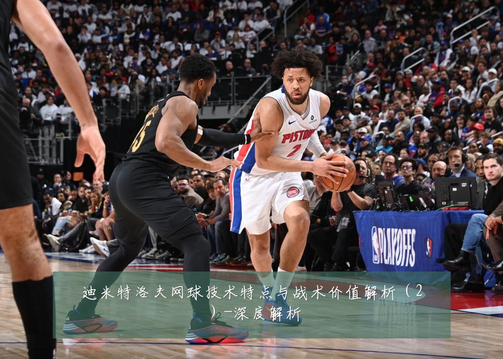 迪米特洛夫网球技术特点与战术价值解析（2）-深度解析